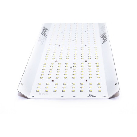 hortiONE 600 LED incl. driver - 220W