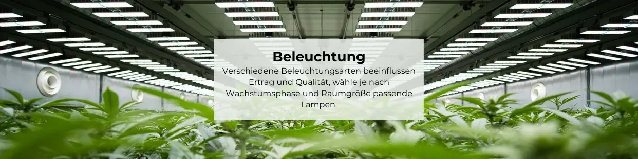 Grow Beleuchtung kaufen | JointStore