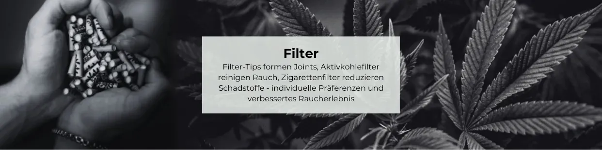 Filter-Tips | JointStore