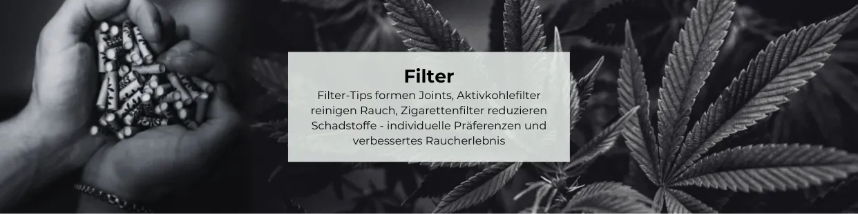 Filter kaufen | JointStore