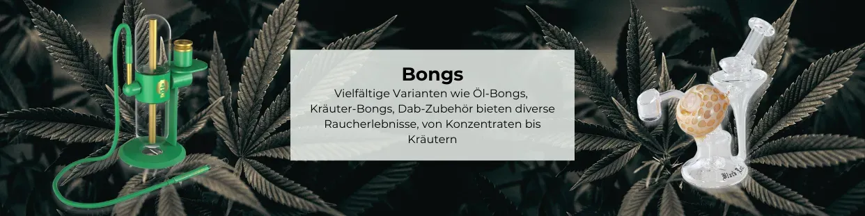 Bongs kaufen | JointStore