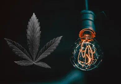 Cannabis und Unternehmertum: Innovationen und Aufstieg von Start-ups in der Cannabisbranche