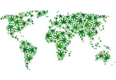 Cannabis und die Weltwirtschaft: Globale Auswirkungen auf verschiedene Länder