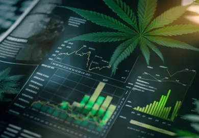 Cannabis-Industrie: Arbeitsplätze, Finanzen und Wirtschaftswachstum