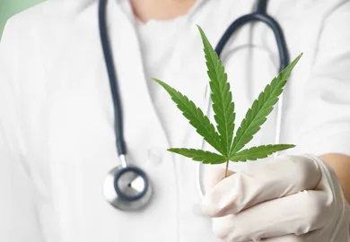 Cannabis und Gesundheit: Die Vielfalt der potenziellen medizinischen Vorteile einer faszinierenden Pflanze